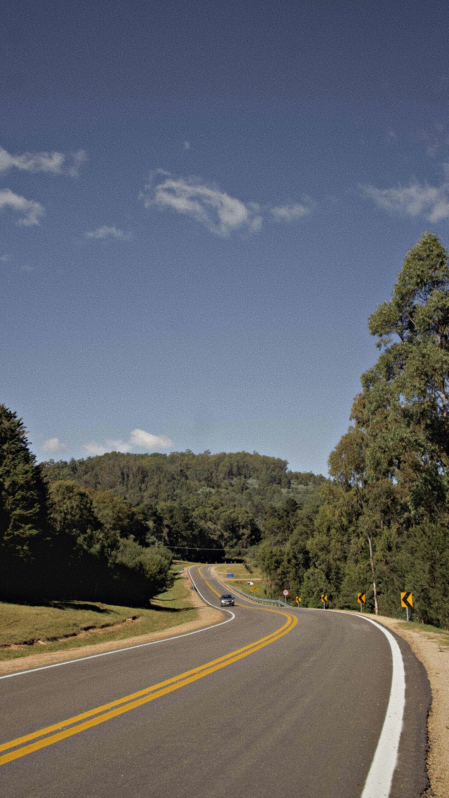 Ruta con línea amarilla